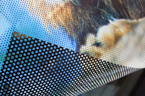 Autoadhesivo Window Vision